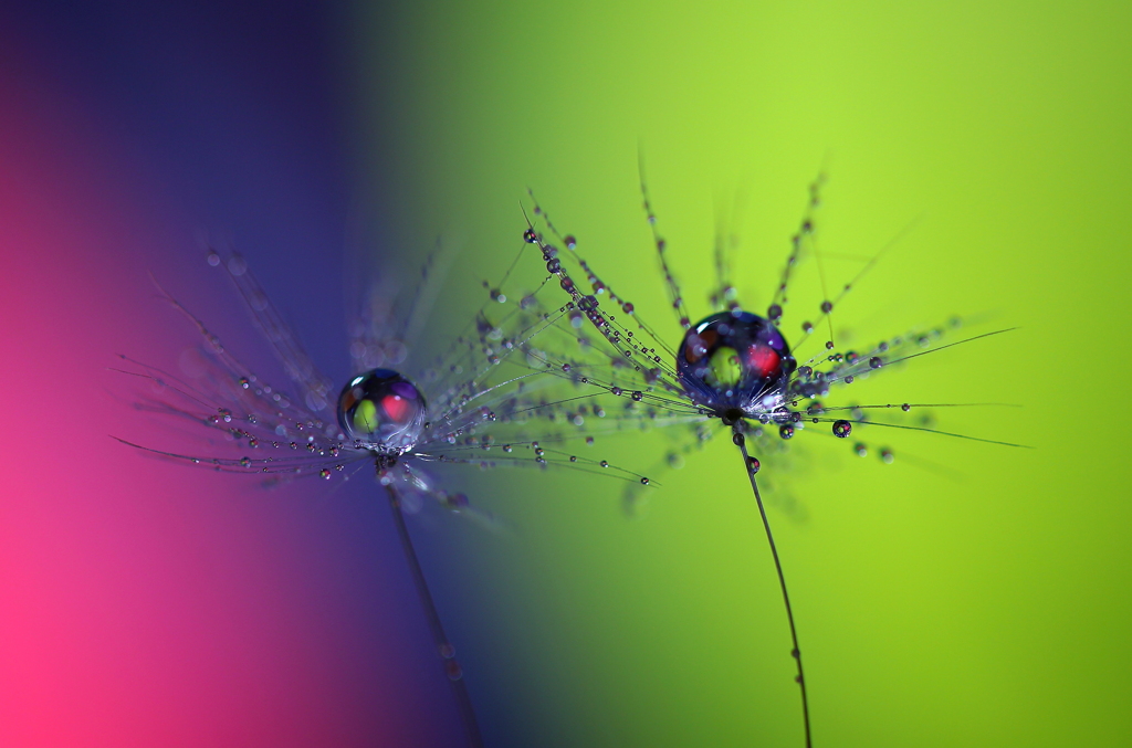 心海ＤＲＯＰＳ・・・和合