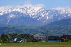 雪山と新緑