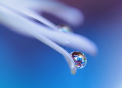 心海ＤＲＯＰＳ 104