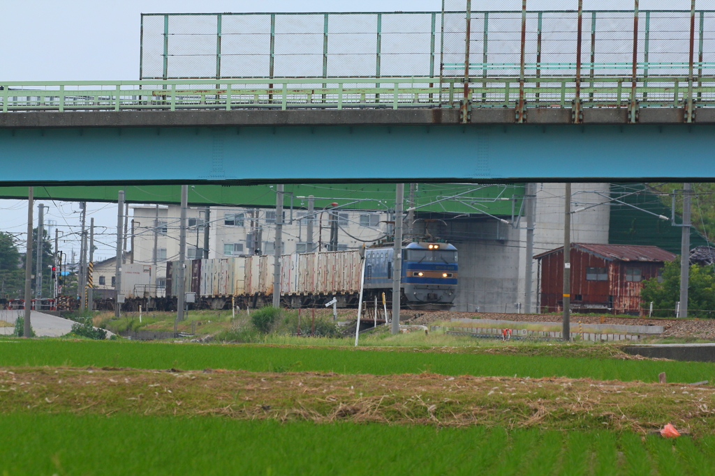 ブルーサンダー