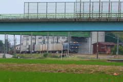 ブルーサンダー