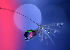 ファンタジー（色を変えゆく雫）