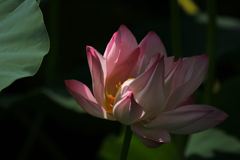 そっとしておいて