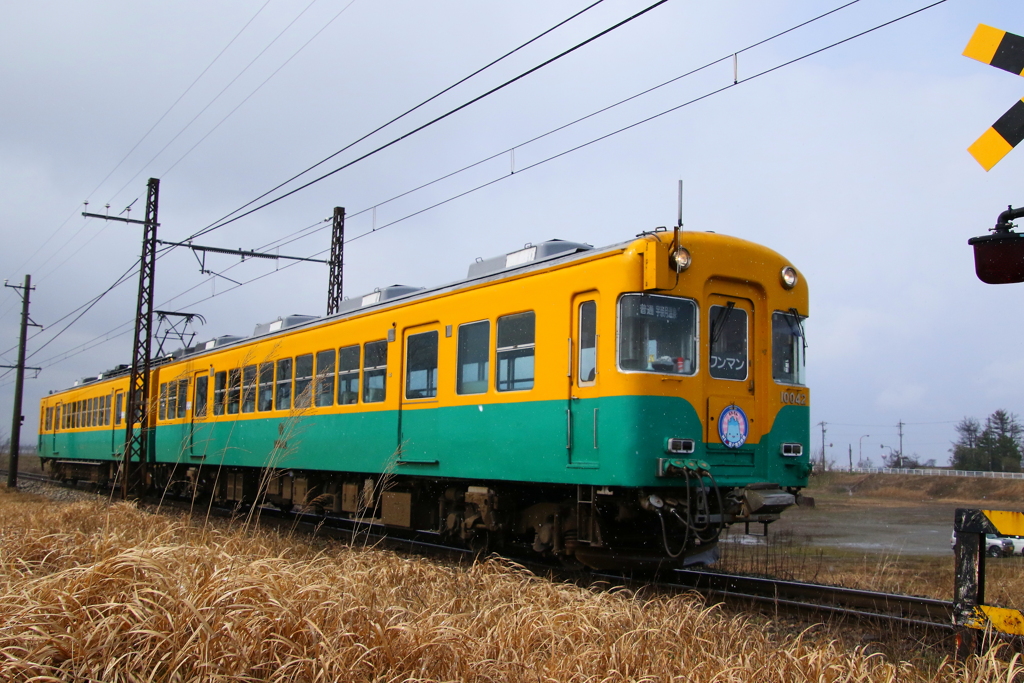 雨の日のかぼちゃ君・・・
