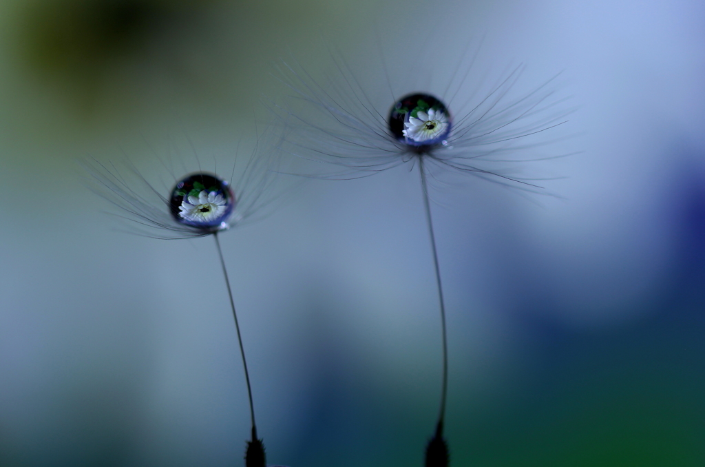 ダンスイング♫