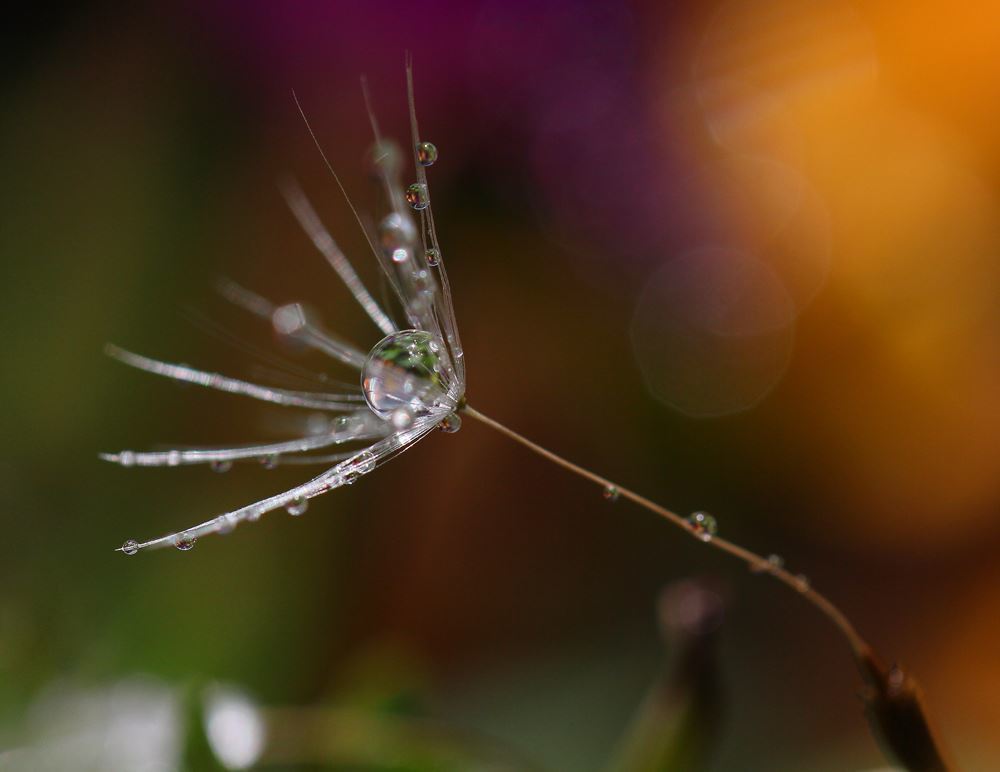 空を飛びたい～♪