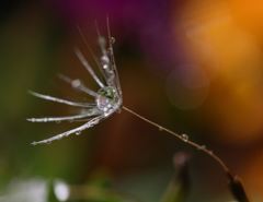 空を飛びたい～♪