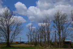 白い雲が眩しいね！　かぼちゃ君～♪