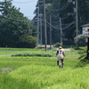 朝仕事を終えて・・・