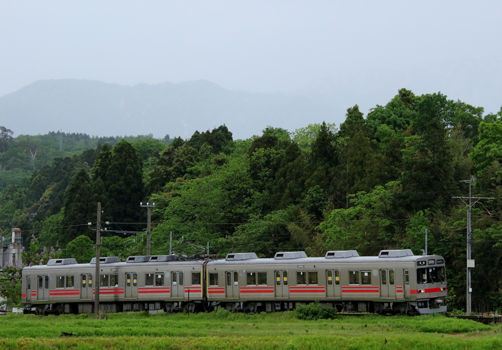 雨の日のステン君～♪　1