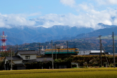 かぼちゃ君～♪