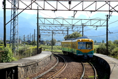 かぼちゃ君～♪