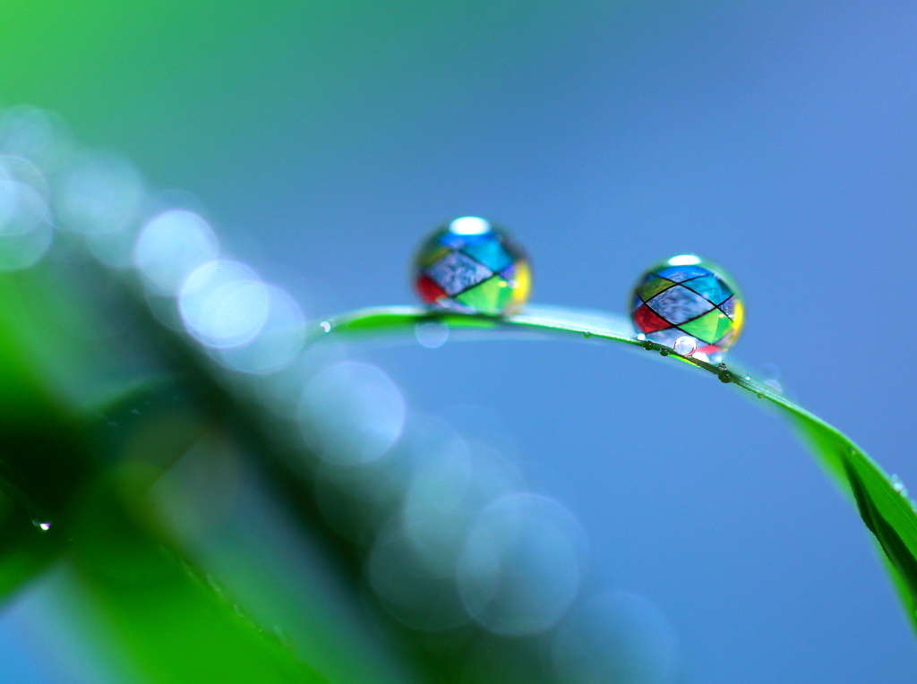 心海ｄｒｏｐｓ