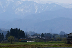 芽吹きの季節がやって来た～♪　ガッタンゴットンかぼちゃ君が行く