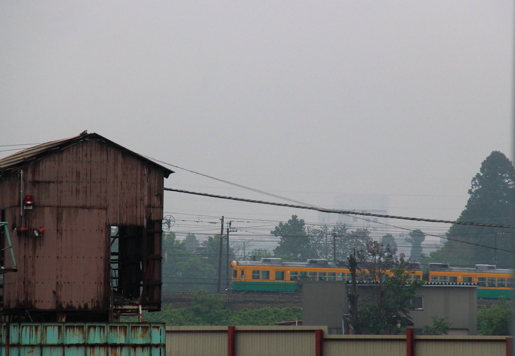 雨の日のカボチャ電車君、出会えてよかった！