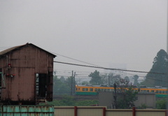 雨の日のカボチャ電車君、出会えてよかった！