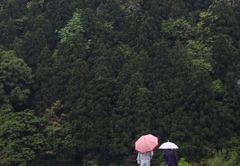 山での暮らし