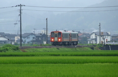 雨の日