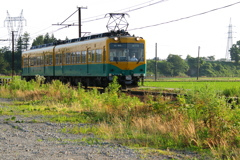かぼちゃ君～♪