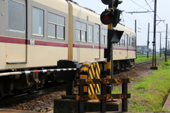 ダイコン君～♪通過しま～す！