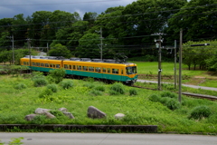 かぼちゃ君～♪