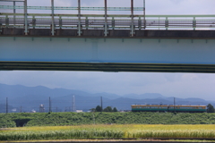 追いかけて、追いかけて～かぼちゃ電車♪