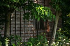 日の当たる場所