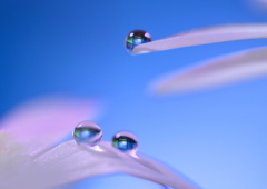 心海ＤＲＯＰＳ　46　　（未完成）