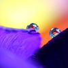 心海ＤＲＯＰＳ・・・あなたの元へ♡