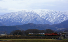 かぼちゃ君とレッドサンダー君~♪　競争だぁ～！