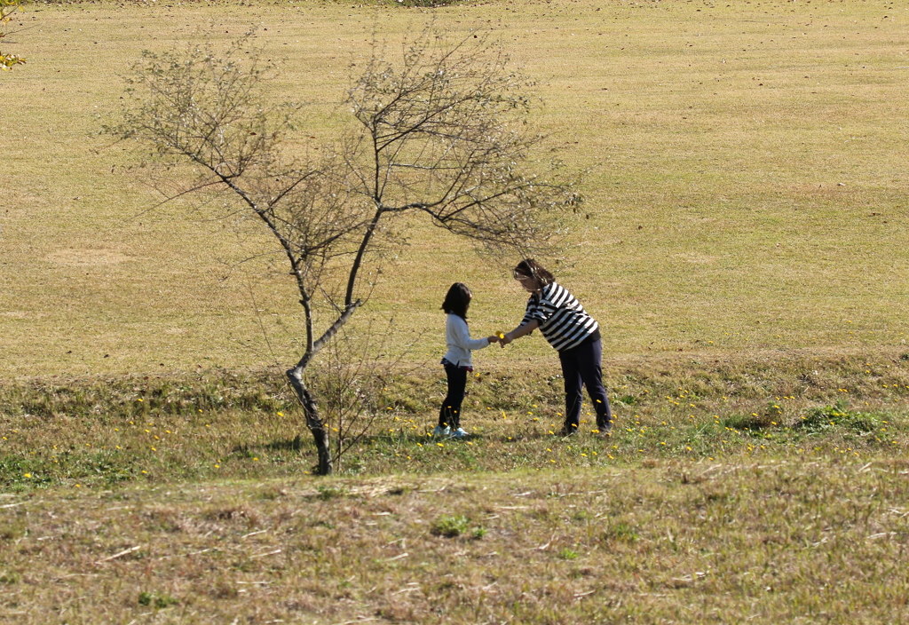 愛、伝えたい・・・。