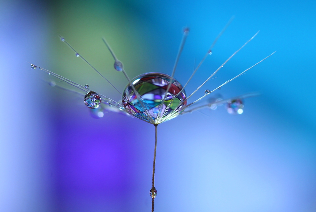 my　dream～ＤＲＯＰｓ