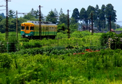 かぼちゃ君が行く～♪