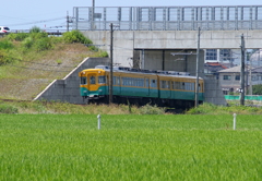 かぼちゃ君～♪　