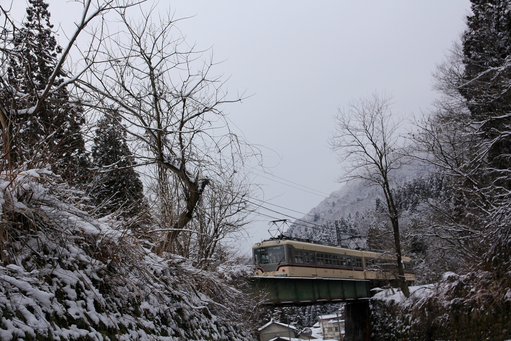 おっと～！ダイコン君ここにいたのね(^▽^)/