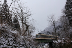 おっと～！ダイコン君ここにいたのね(^▽^)/