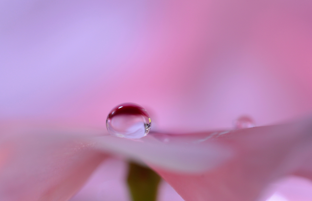 soft