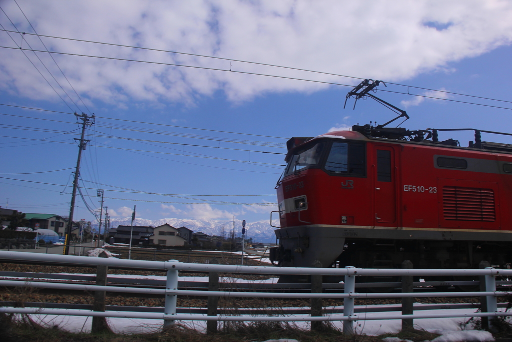 レッドサンダー？fighting！