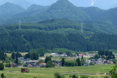 朝からダイコン君を探そう～♪