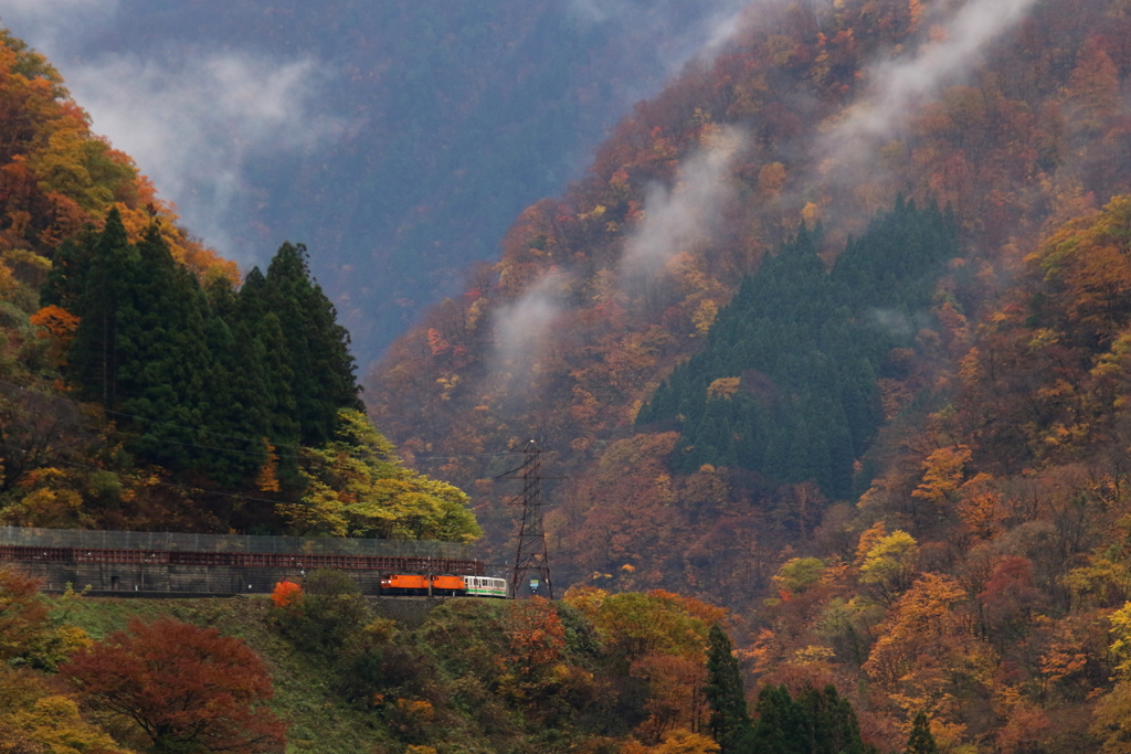 紅葉を行く～♪