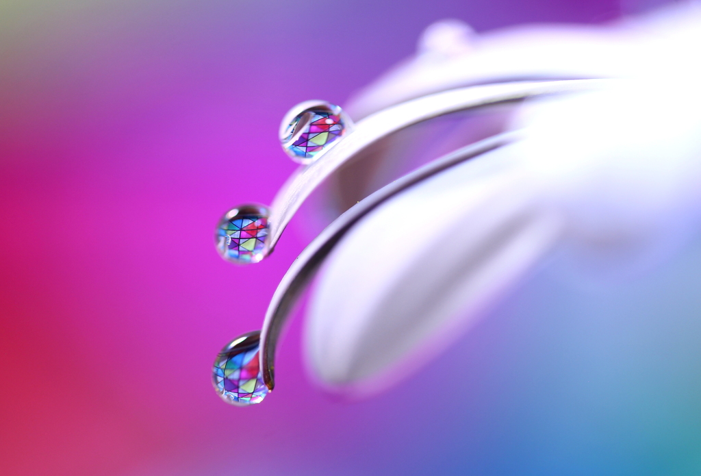 心海ＤＲＯＰＳ・・・衝動・・・　夢中