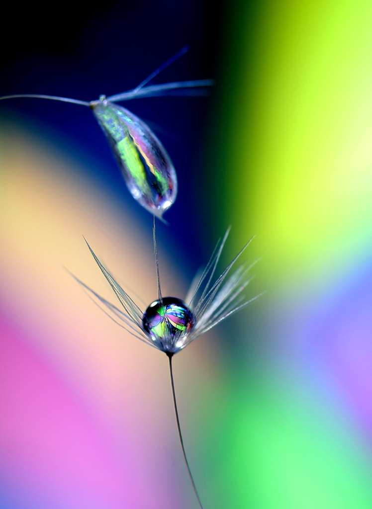 ＤＲＯＰｓ・・・