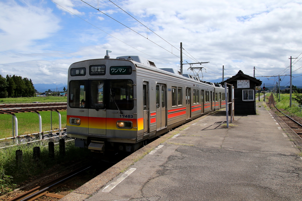 ステン君がやってきた～♪