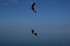 海上ランデブー