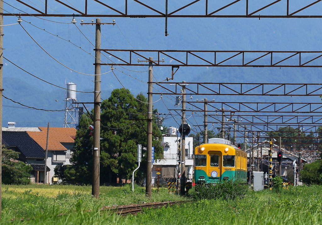 かぼちゃ電車君が走ってきたよ