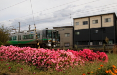 あいの風鉄道～♪花