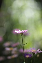 スポットライト