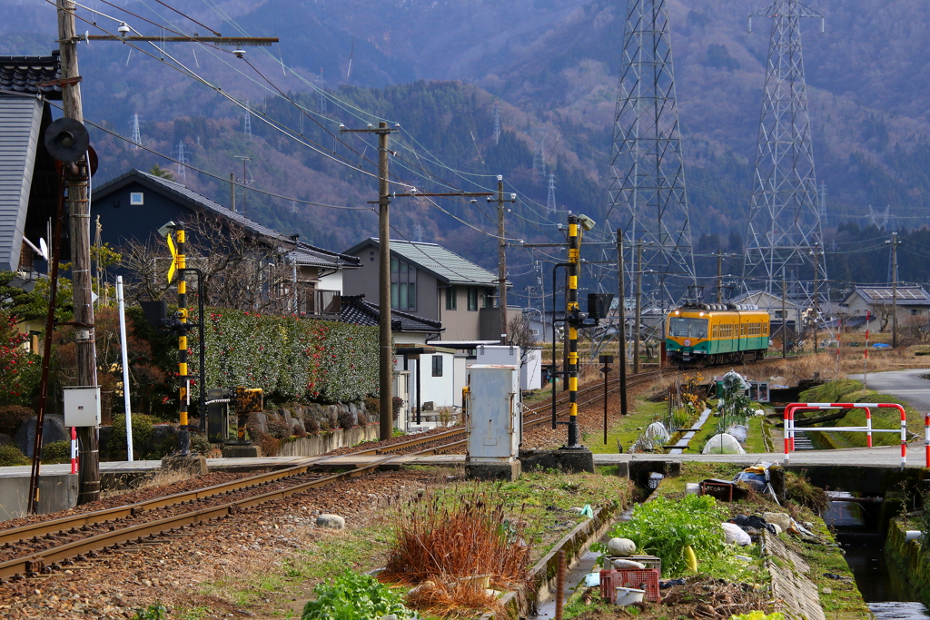 かぼちゃ君は走る～♪  来たよ来た来た～～♪