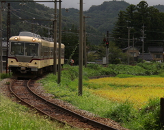 実りの秋　カーブの好きな鉄子