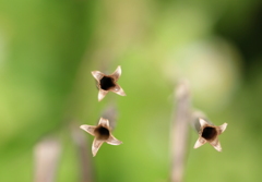 これなぁ～に？